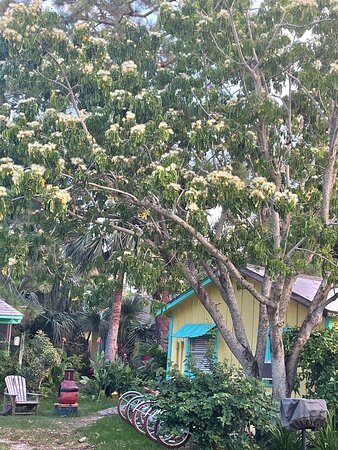 Firefly Cottages Cedar Key-浴室