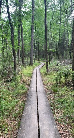 Rainy Lake Visitor Center景点图片