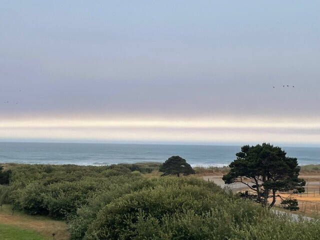 Pacific Reef Hotel主图