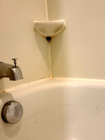 剑桥智选假日酒店主图