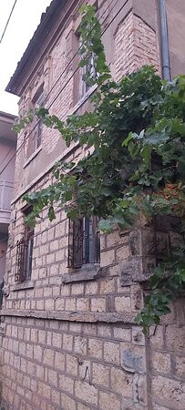 Hotel Bujtina e Bardhe主图