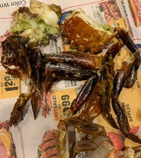 Crab Shack and the Big Chill