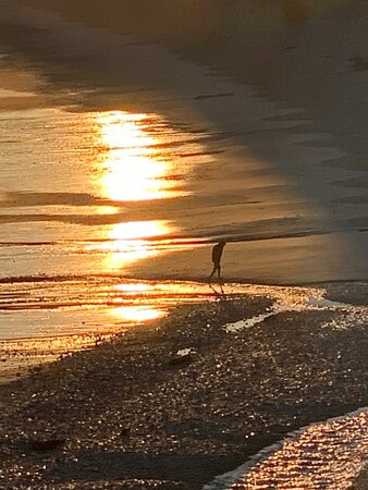 Playa de San Antolin景点图片