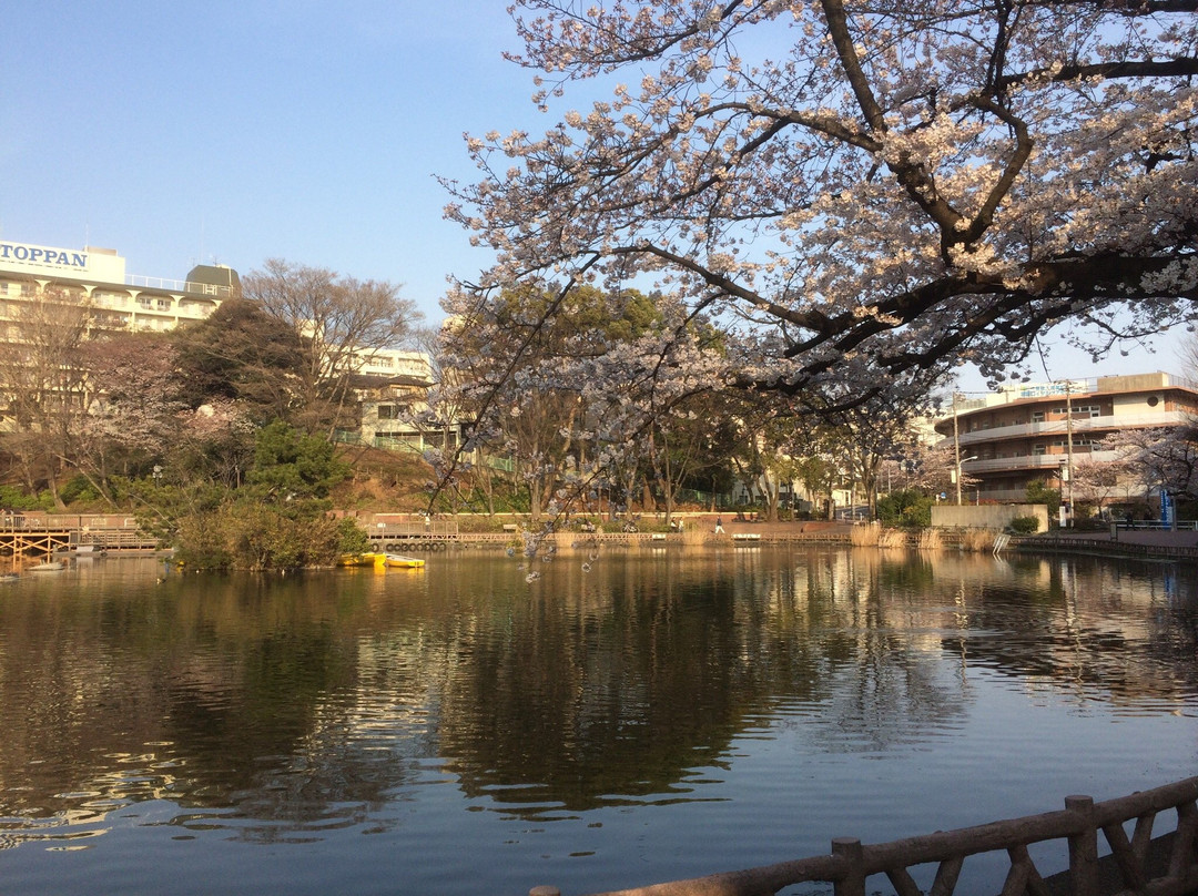 Mitsugi Park景点图片