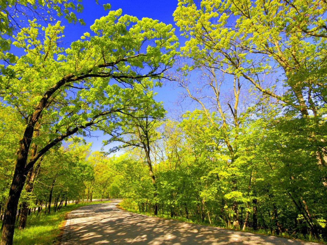 Springbrook State Park景点图片