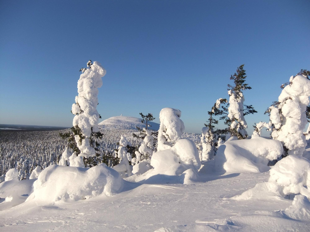 Luosto旅游攻略图片