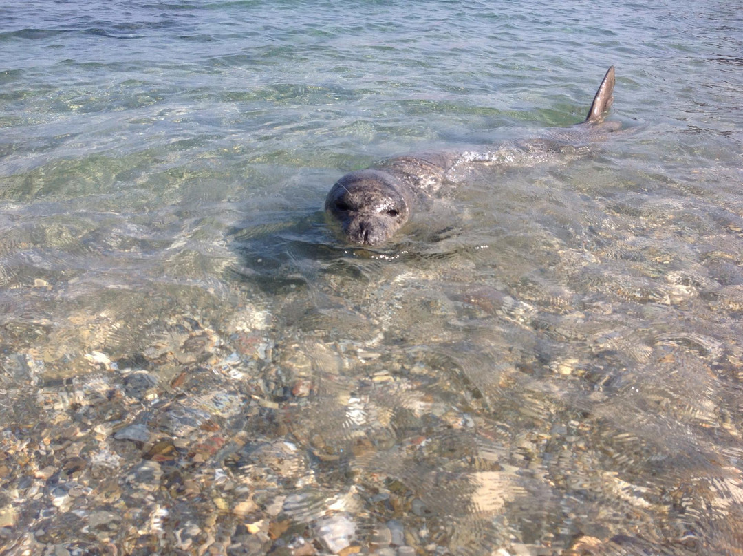 Agia Paraskevi旅游攻略图片