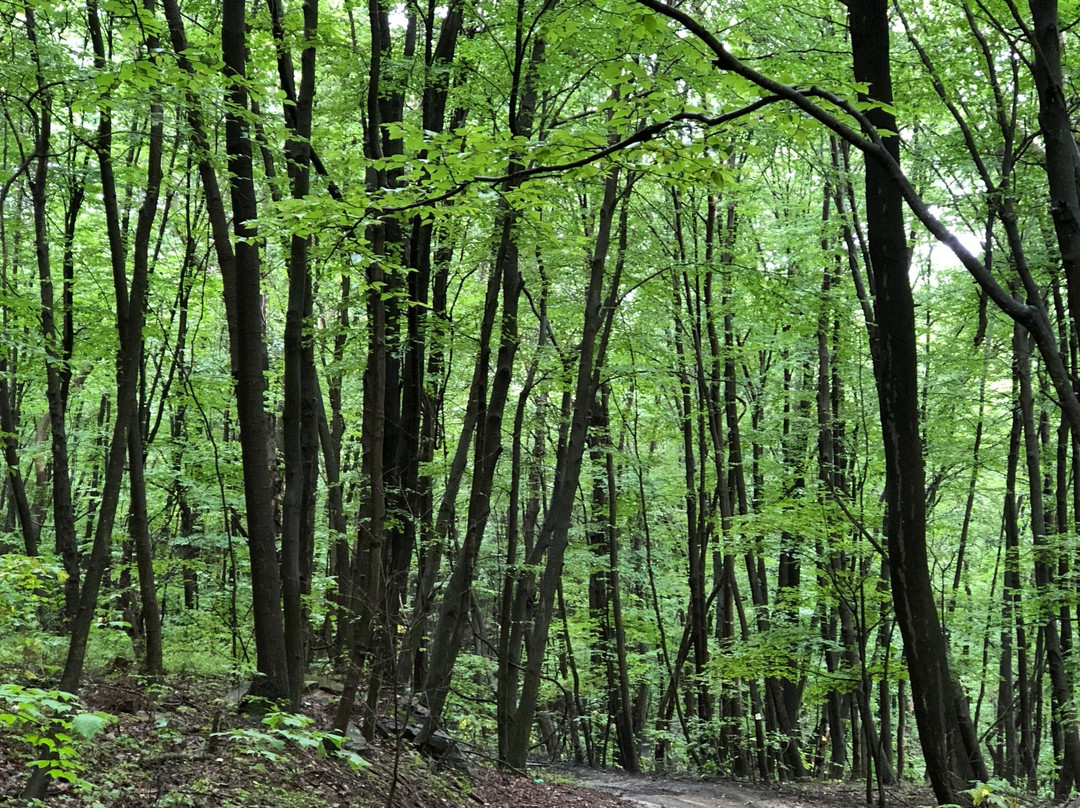 Anthracite Outdoor Adventure Area-Coal Township必去景点