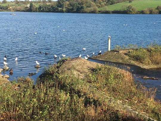 Thornton旅游攻略图片