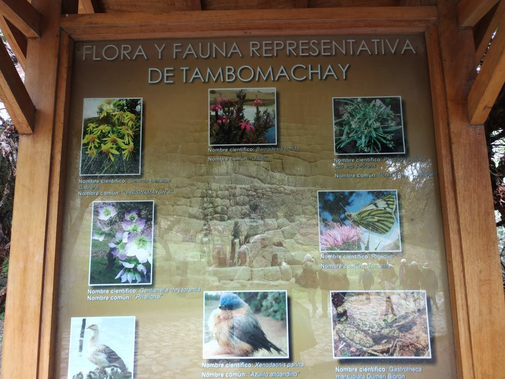 Tambomachay景点图片