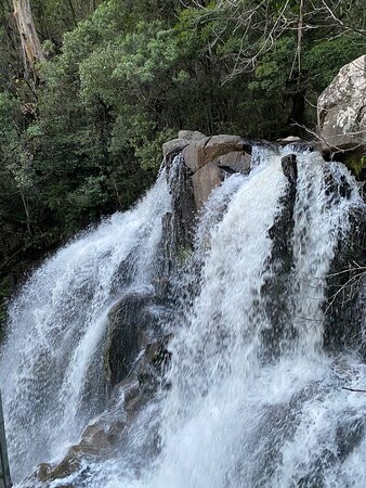 Snobs Creek Falls景点图片