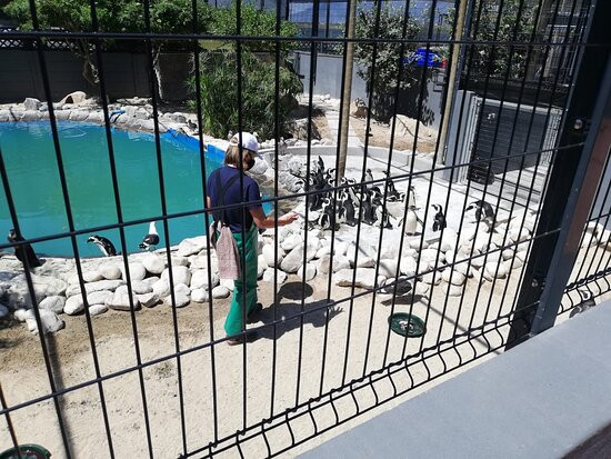 SANCCOB Seabird Rehabilitation Centre-Table View必去景点