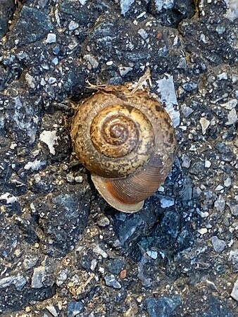 Russell W. Peterson Wildlife Refuge-威尔明顿必去景点