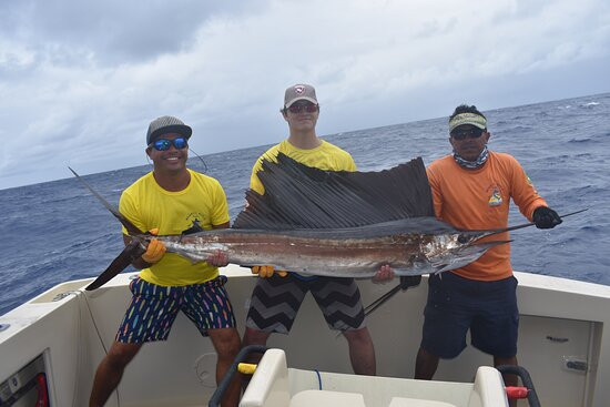 Majestic Marlin Brazil-Canavieiras必去景点