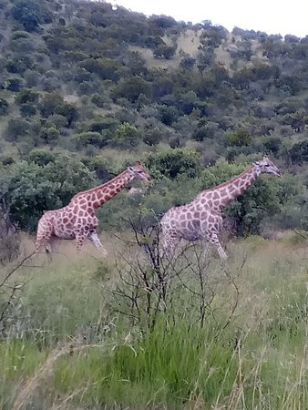 Soul Adventures-约翰内斯堡必去景点