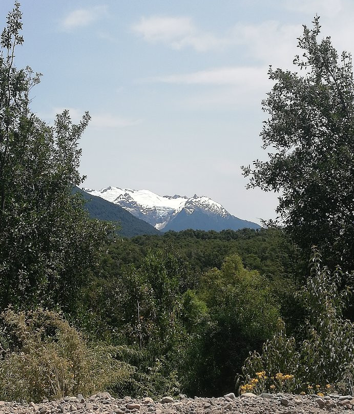 Parque Nacional Los Alerces景点图片