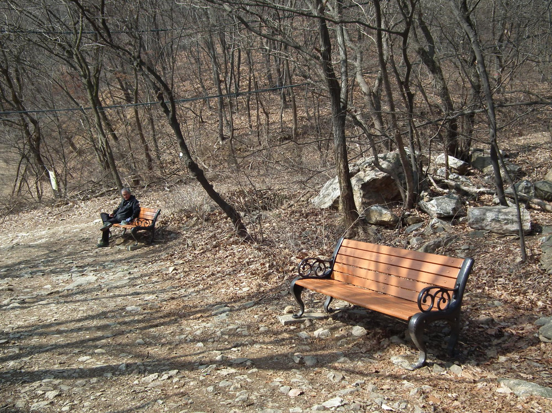 Surisan Land-军浦市必去景点