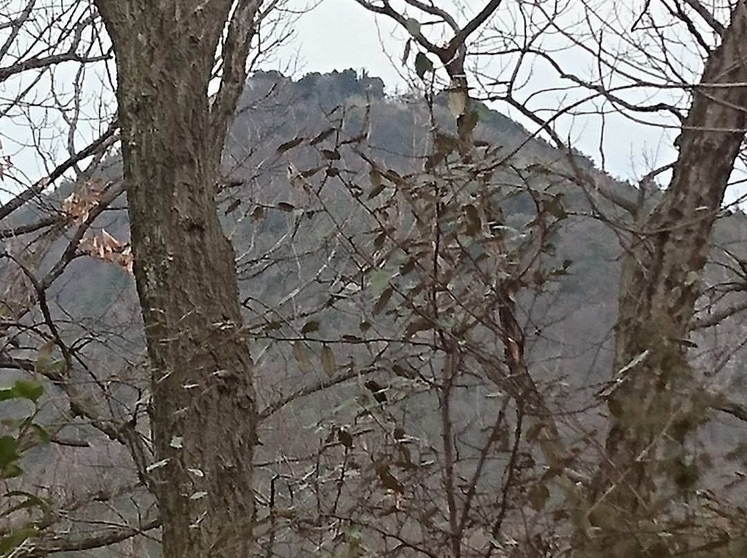 Mt. Tsukumo景点图片