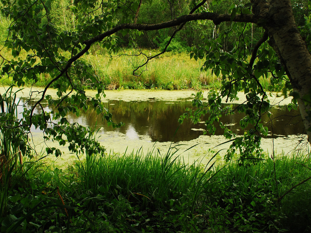 Wallace Bay National Wildlife Area景点图片