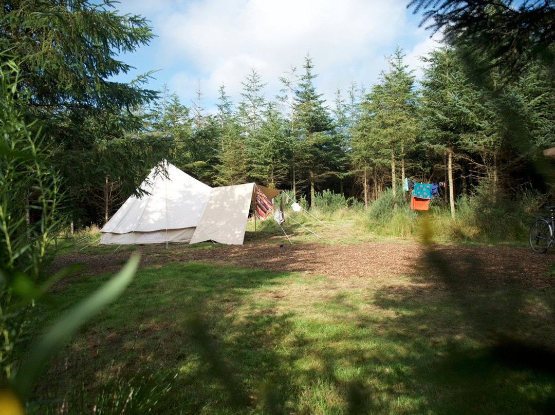 Kitewood Camping