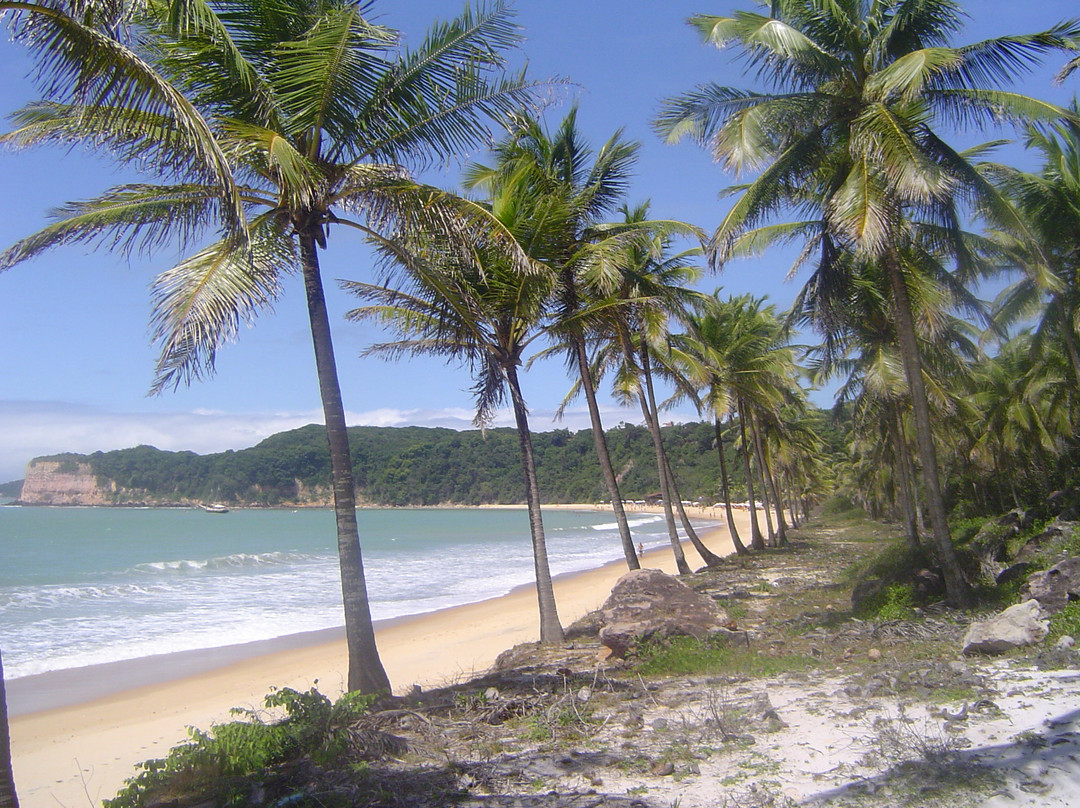 Praia da Pipa旅游攻略图片