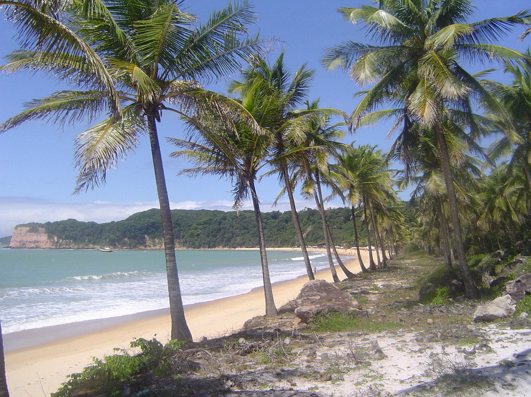 null-Praia da Pipa
