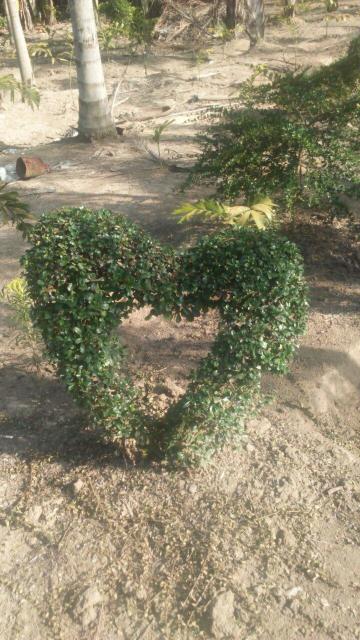 The City Inn Hotel & Casino-浴室