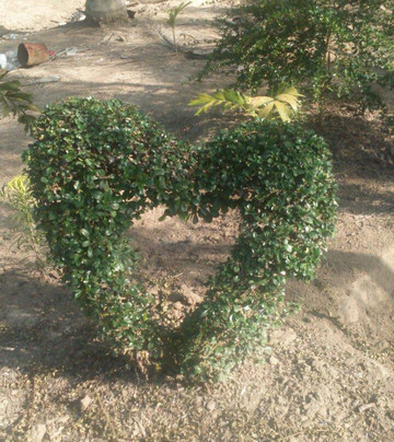 Monte Plata酒店住宿-The City Inn Hotel & Casino