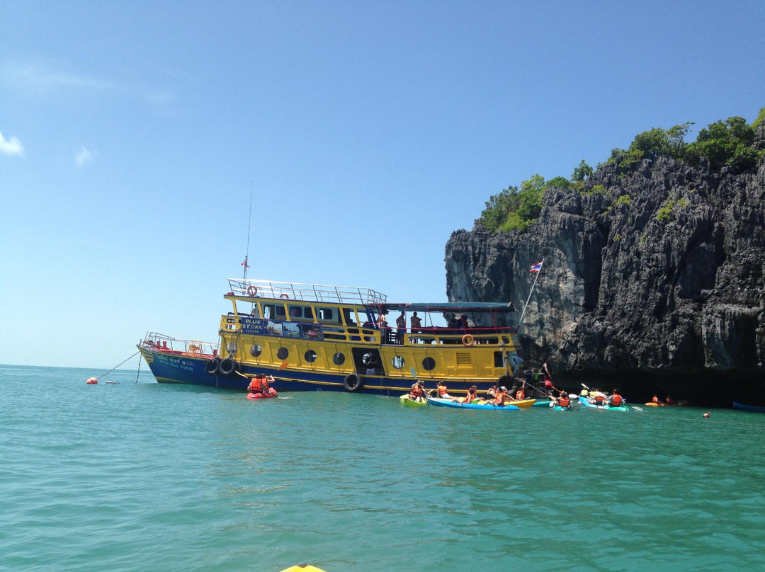 Bluestars Kayaking-红统必去景点