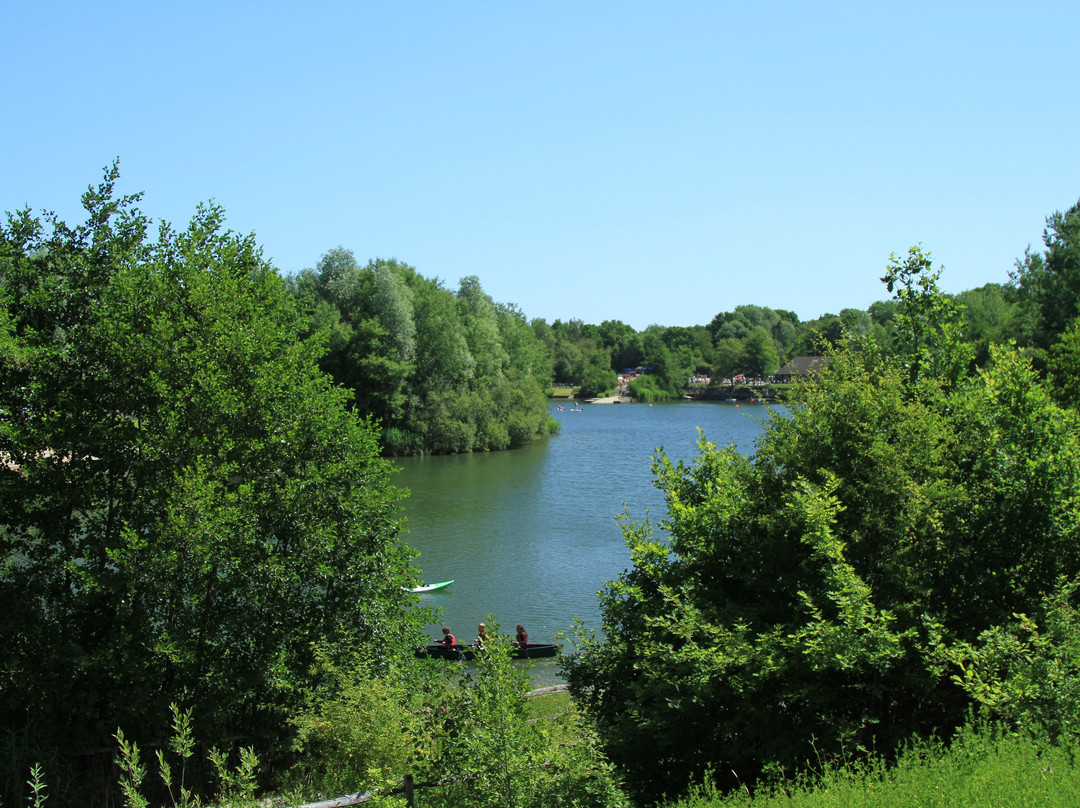 Southwater Country Park景点图片