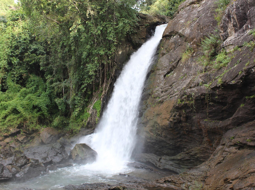 Soochippara Falls (Sentinel Rock Waterfall)景点图片