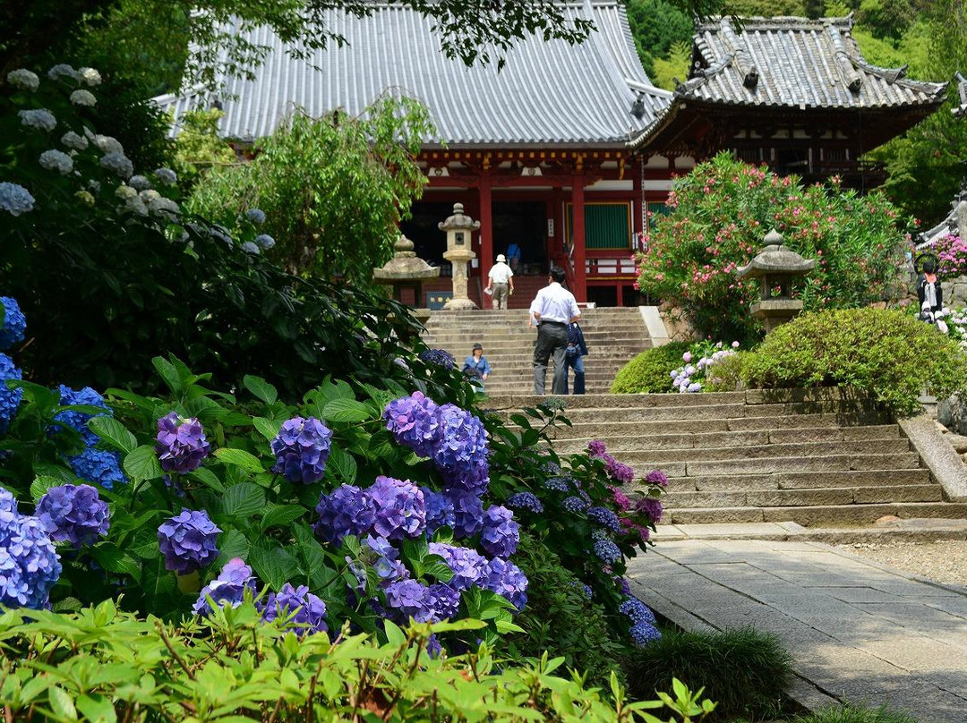 Yatadera Temple景点图片