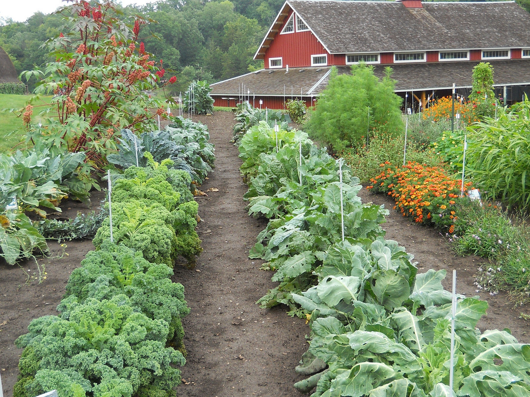 Heritage Farm and Preservation Gardens景点图片