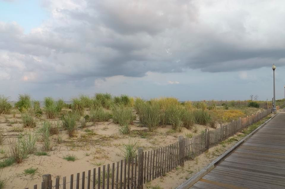 Dune Nature Park-里霍博斯比奇必去景点