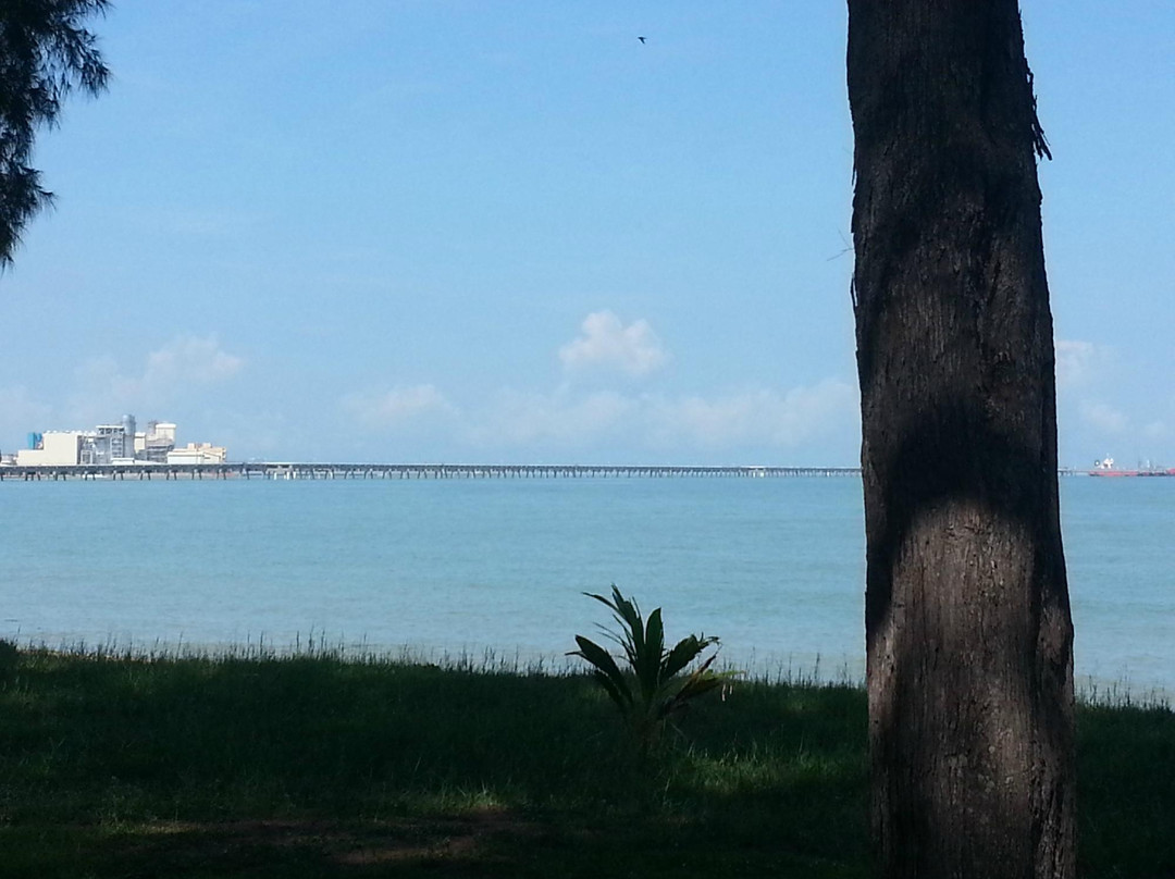 Tanjung Gemok Beach景点图片