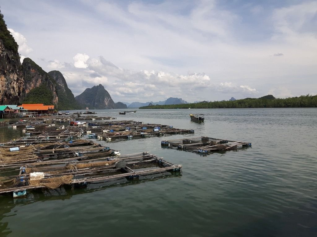 Koh Panyi (Floating Muslim Village)景点图片