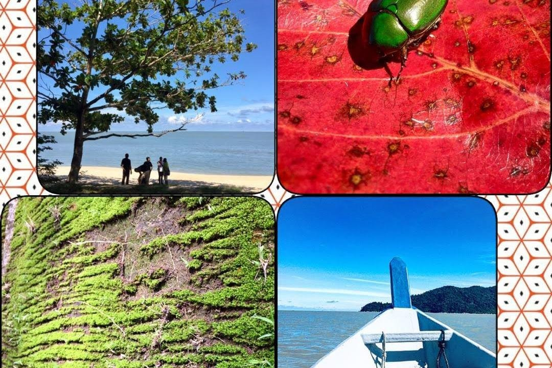 Matahari Xperience-槟城岛必去景点