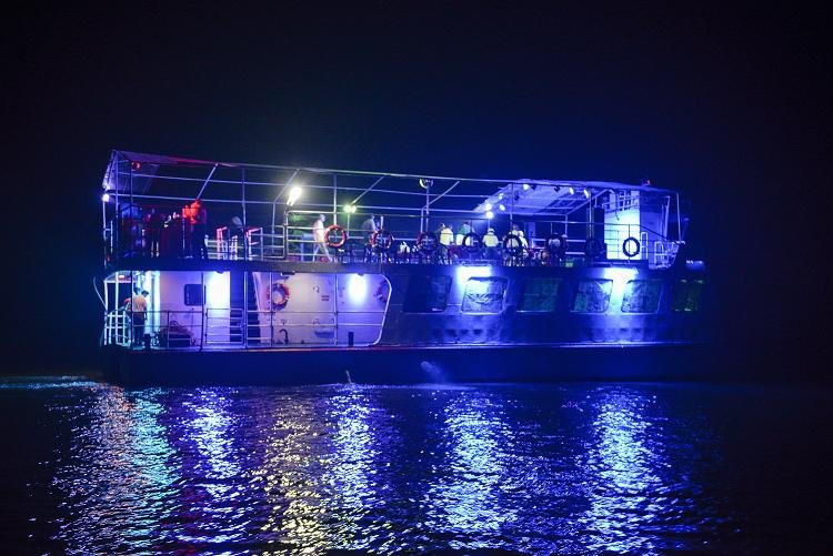 Cruise Blessing景点图片