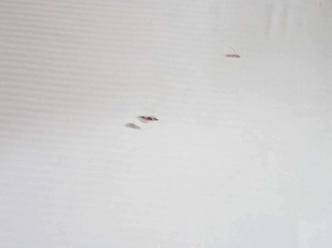 维纳亚克酒店主图