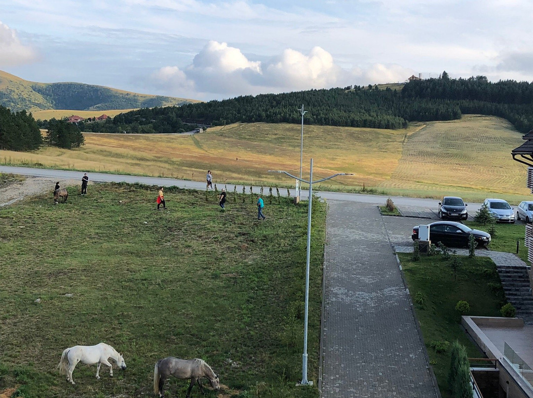 Zlatibor Hills主图