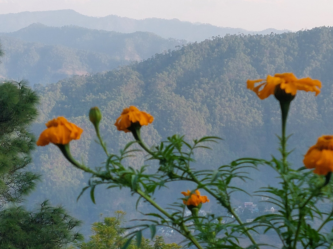 Zenoaks Homestay
