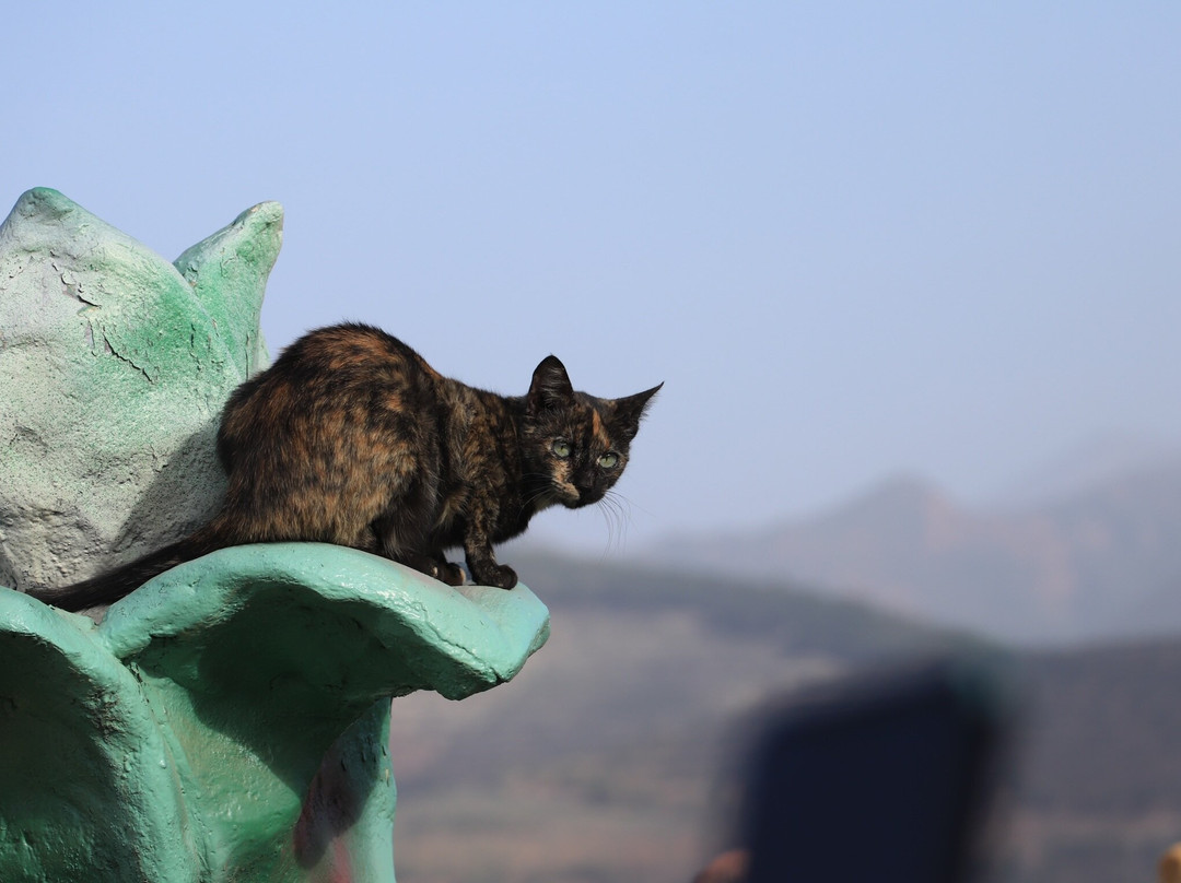 China Odyssey Tours Huangshan-黄山市必去景点