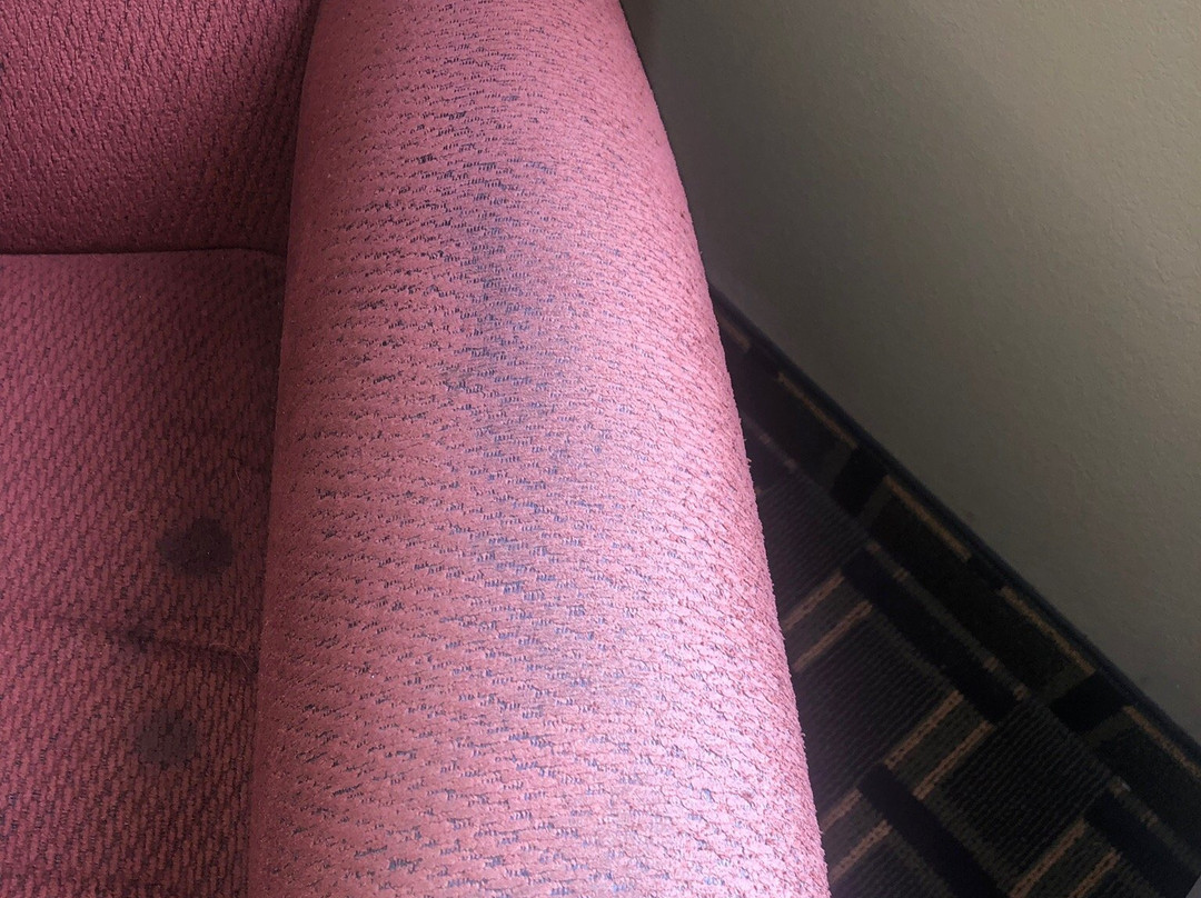 Super 8 by Wyndham Russellville主图