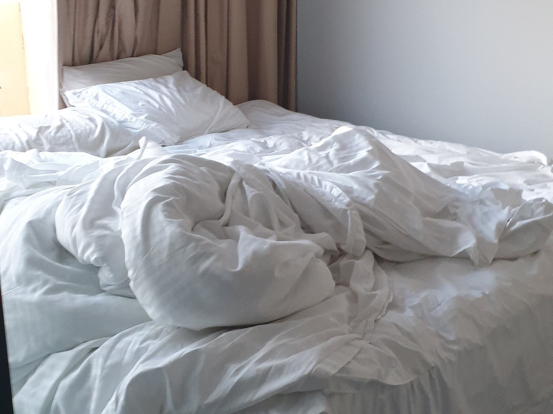 Boulevard on Beaumont主图