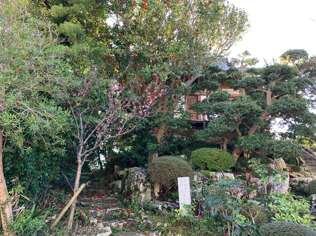 Johoji Temple-田原市必去景点