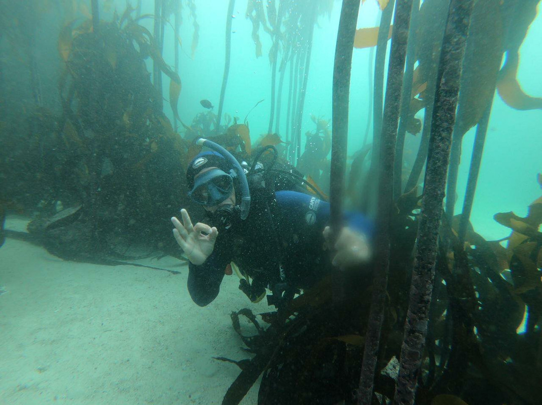 Cape RADD-开普敦必去景点