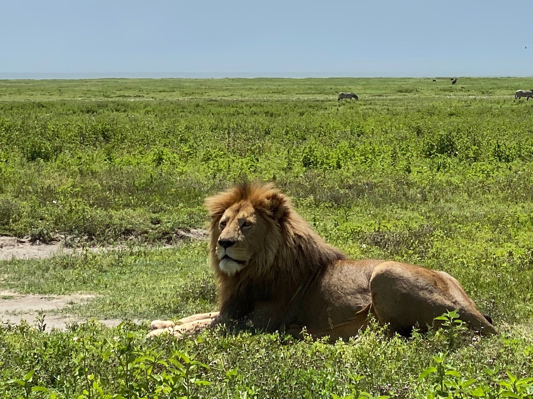 Nicas Education and Technology Center-莫西必去景点