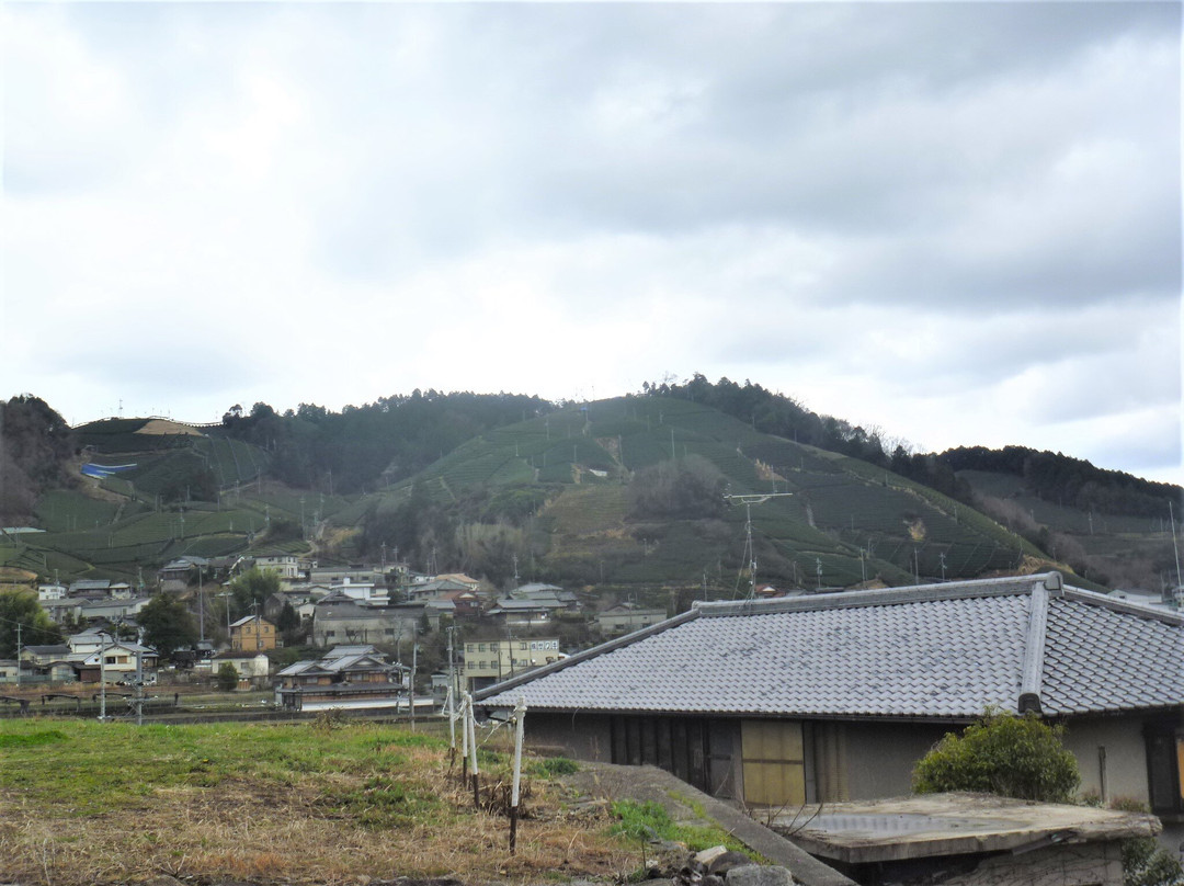 Kamatsuka Tea Plantation Field-和束町必去景点
