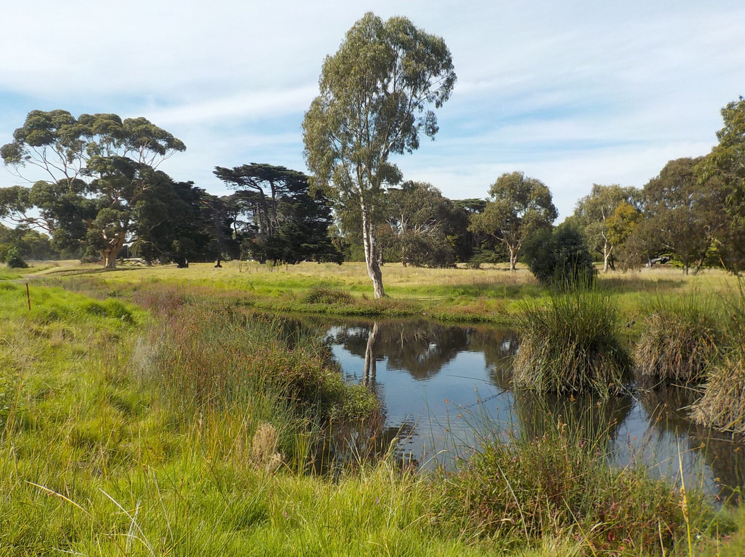 Elsternwick Park Nature Reserve景点图片