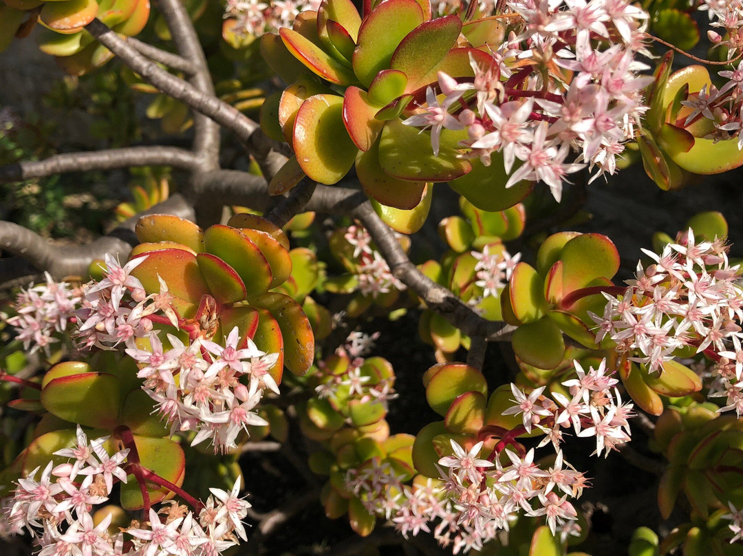 Lido Valderice-Valderice必去景点